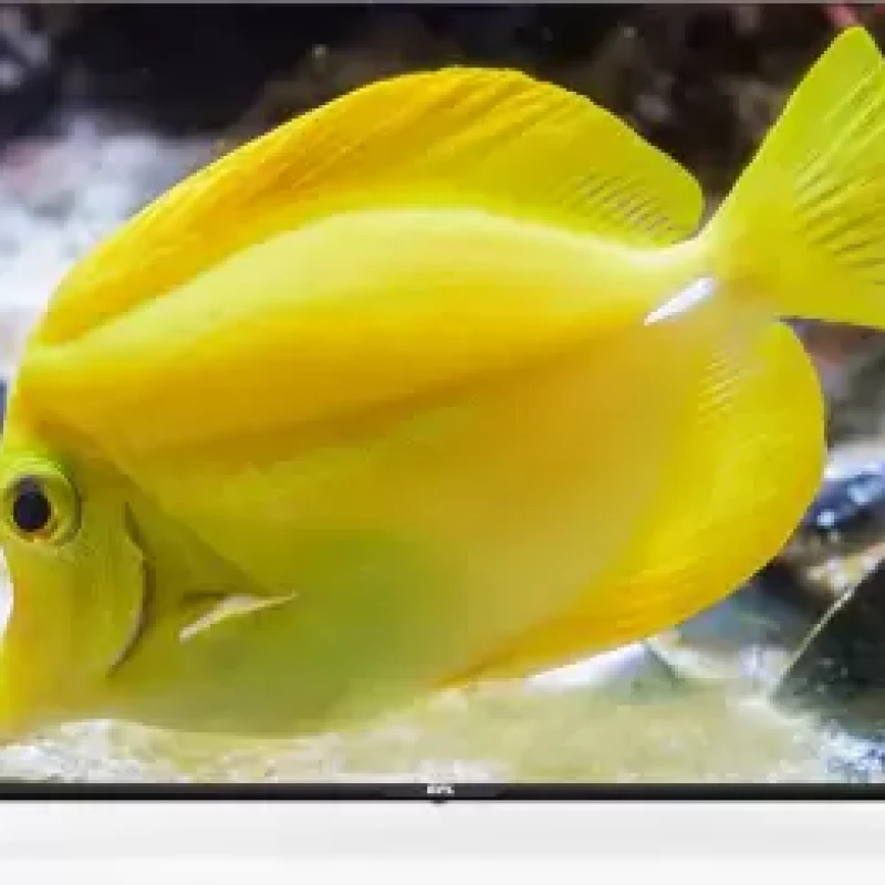 BPL 139.7 cm (55 inch) Ultra HD (4K) LED Smart Android TV  (55U-A4310)