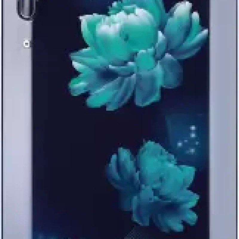 LG 261 L Direct Cool Single Door 3 Star Refrigerator  (Blue Charm, GL-B281BBCX)