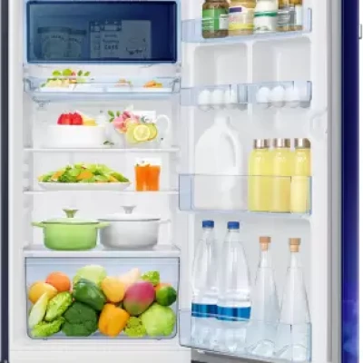 Buy SAMSUNG 189 L Direct Cool Single Door 5 Star Refrigerator (Paradise  Bloom Blue, RR21C2F259U/HL) at